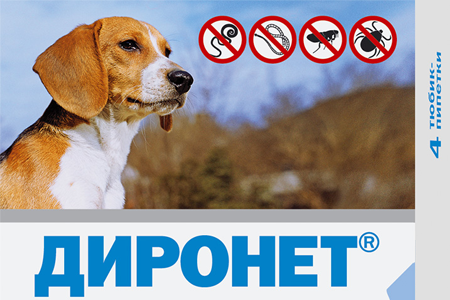 2667046493_AvtfF7Xs_94eb7be74914bdb99d268a3e3d9f5b9de13d456d.png